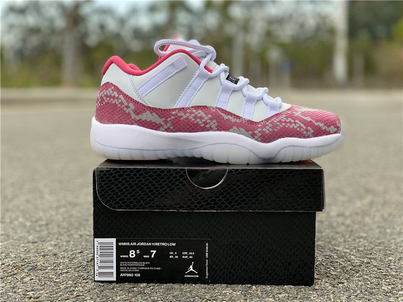 Air Jordan  retro 11 low